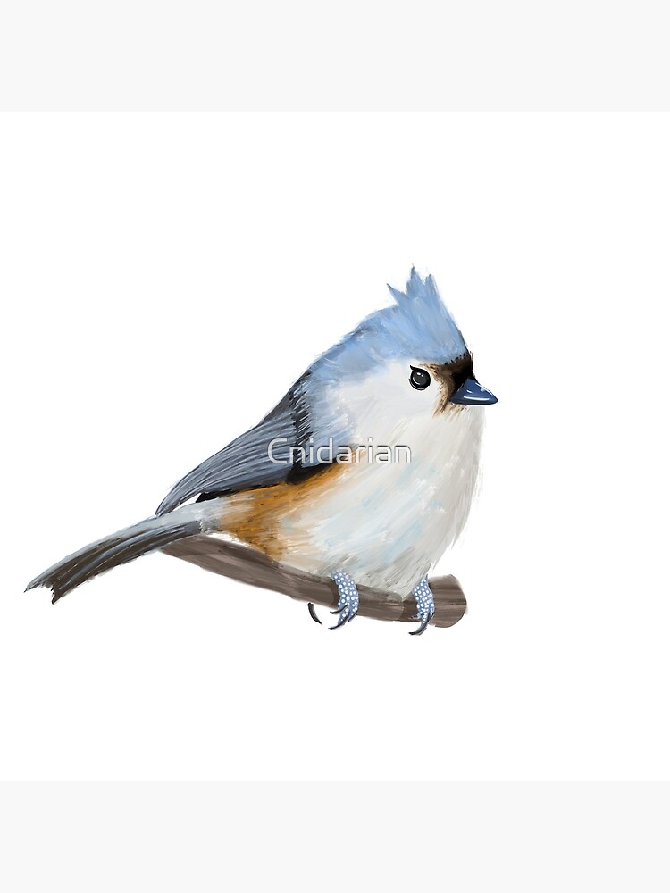 Tufted titmouse Funny Bird watching Gift for Men and Women T-Shirt