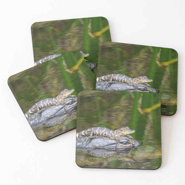 Item preview, Lets go for a ride | Alligators | Everglades National Park designed and sold by TinyDinoDesigns.