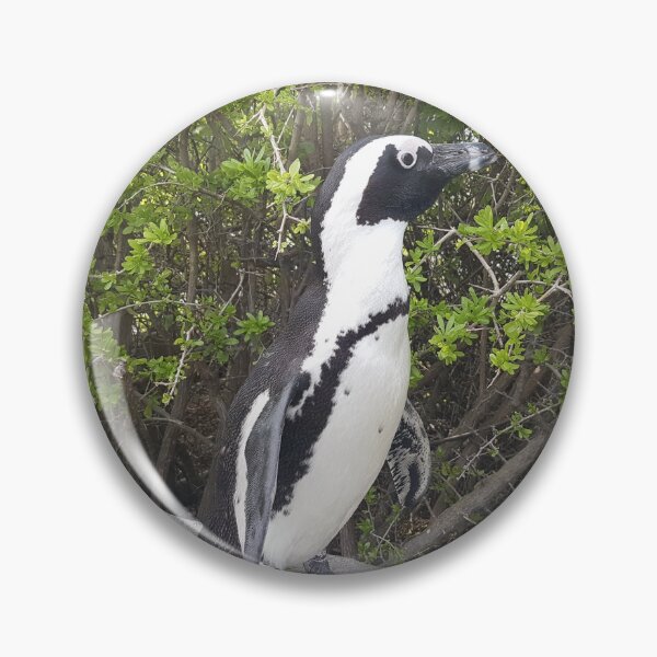 Item preview, Jackass Penguin Simons Town South Africa designed and sold by WackyJacks.