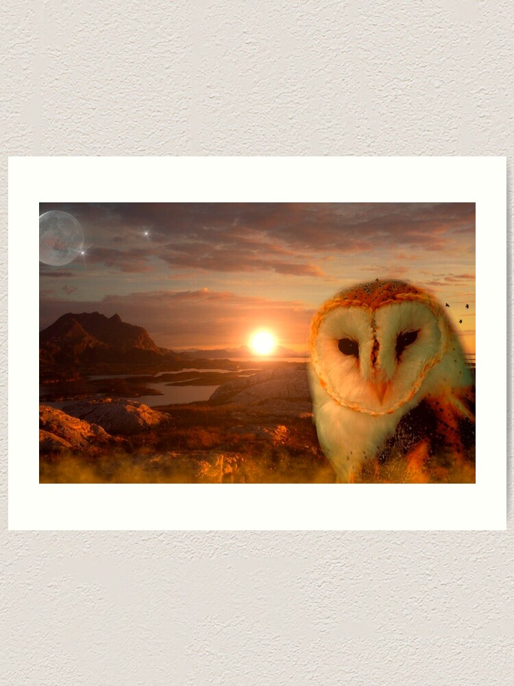 Alternate view of owls soul Art Print