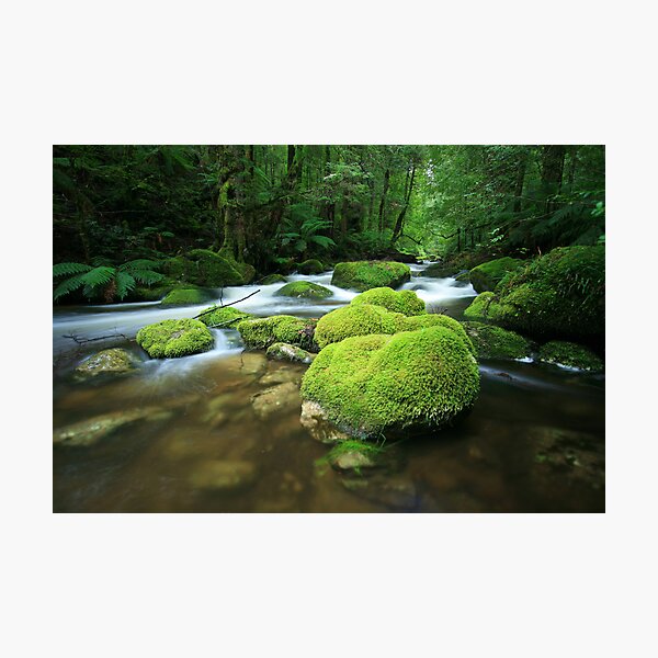 Hidden deep Photographic Print