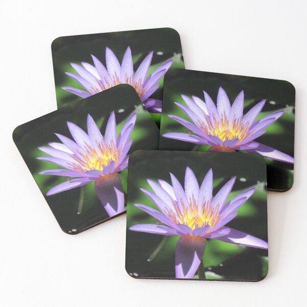 Item preview, Gorgeous Lavender Water Lilly designed and sold by HeppsMedia.