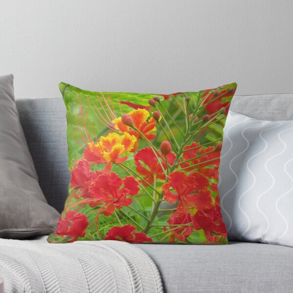 Item preview, Miniature poinciana tree flowers designed and sold by abacoian.