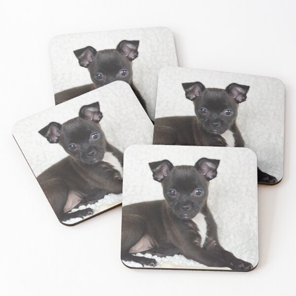 Item preview, Cute puppy with bone photography designed and sold by Daily Miracles.