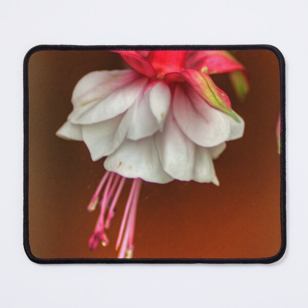 Item preview, Fuchsia designed and sold by tomg.