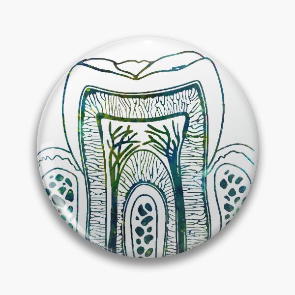 Item preview, Human Tooth Structure designed and sold by EvasDreams.