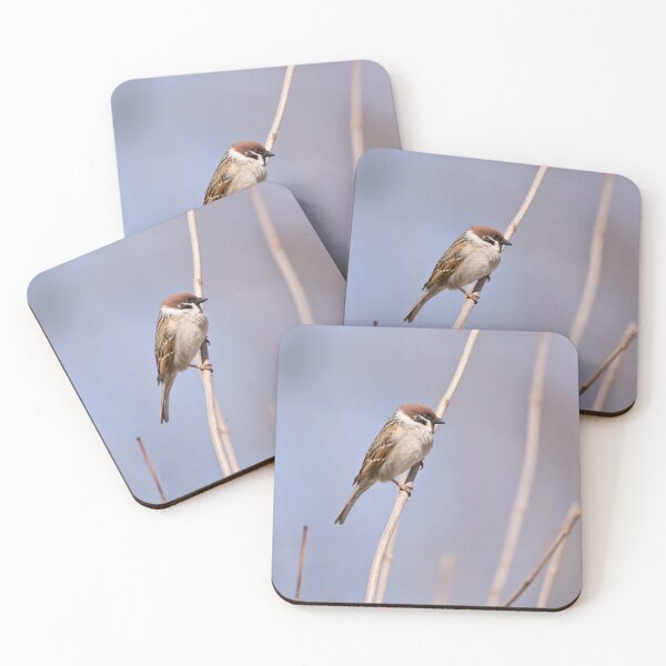 Item preview, Eurasian tree sparrow photography designed and sold by KRFNatureGifts.