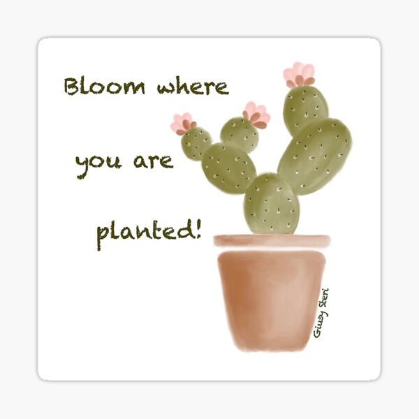 Bloom where you are planted! Sticker