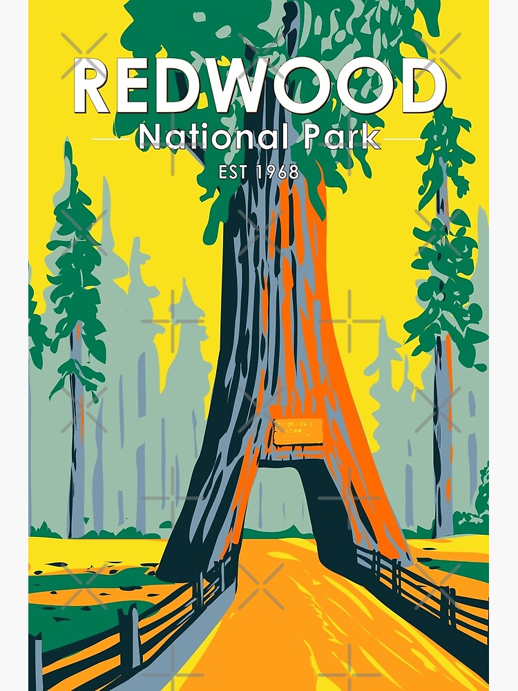 Redwood National & State Parks Logo WPA Water Bottle – Redwood