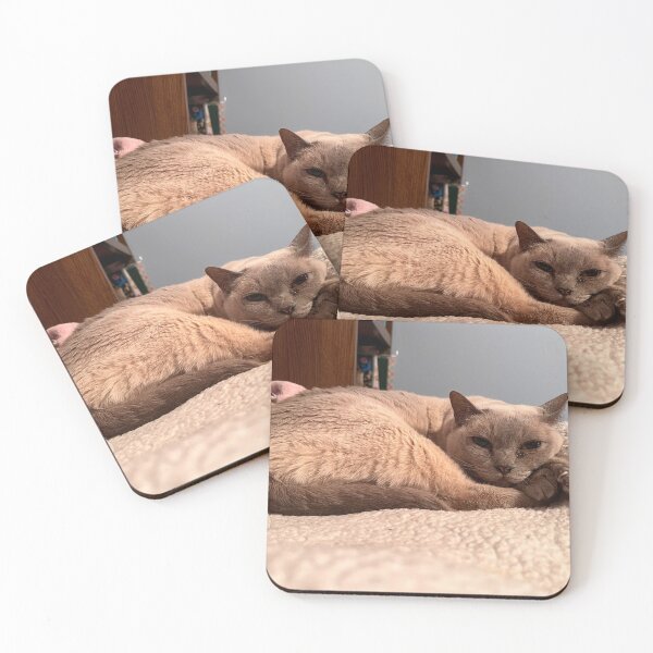 Item preview, kitten designed and sold by Wilking12.
