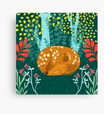 Sleeping Fawn Canvas Print