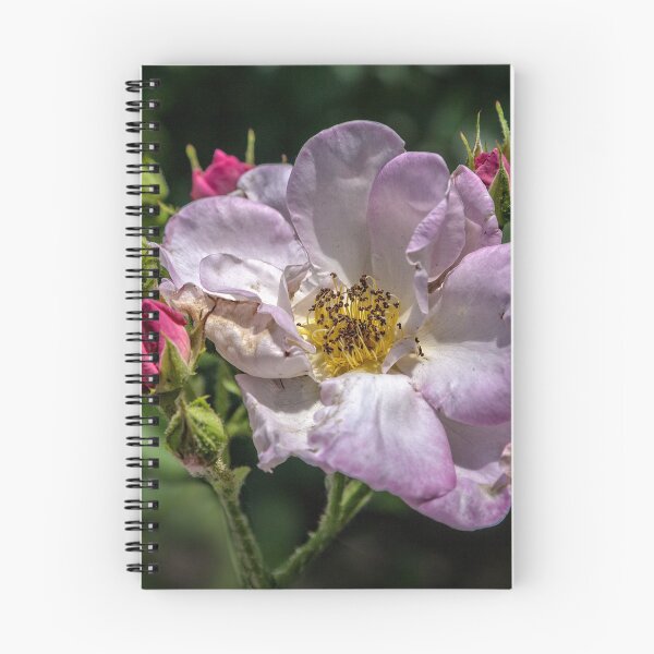 Item preview, Escapade II designed and sold by PhotosByHealy.
