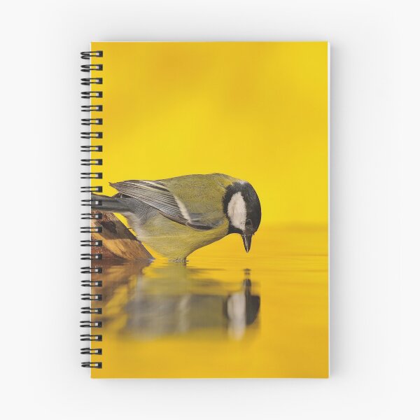 Item preview, Great tit drinking water in the pond  designed and sold by DesignAstur.