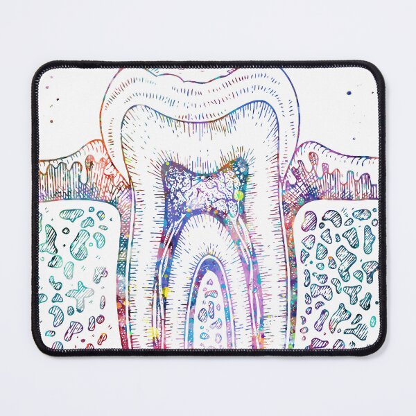 Item preview, Diagram of Human Tooth Structure designed and sold by EvasDreams.