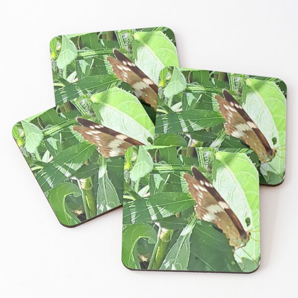 Item preview, Captivating Close-up: Unedited Photo of a Butterfly on a Leaf designed and sold by PhotografeeMrsB.