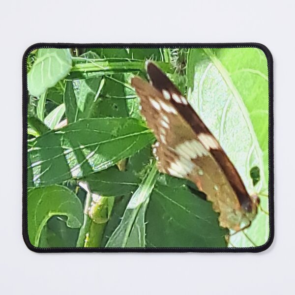 Item preview, Captivating Close-up: Unedited Photo of a Butterfly on a Leaf designed and sold by PhotografeeMrsB.