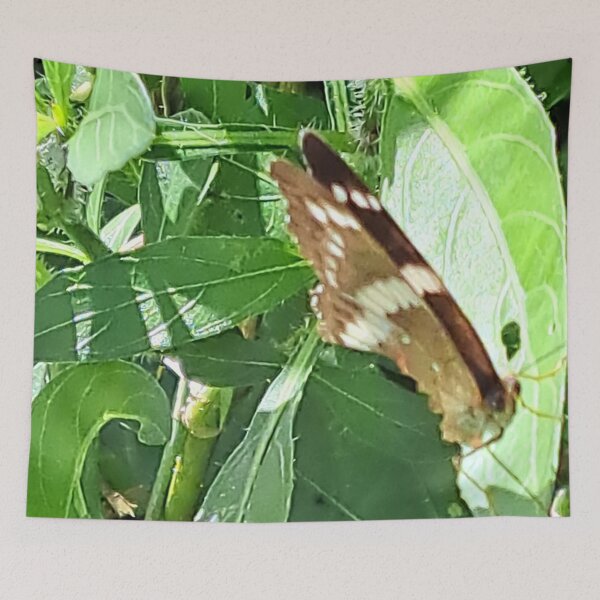 Item preview, Captivating Close-up: Unedited Photo of a Butterfly on a Leaf designed and sold by PhotografeeMrsB.