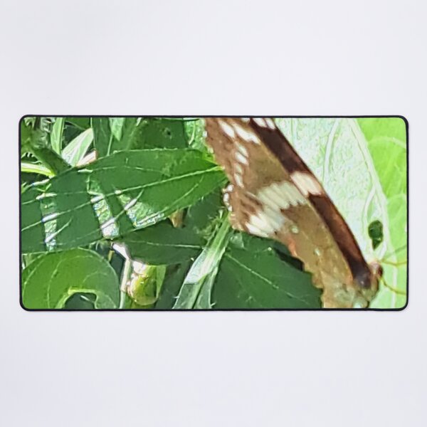 Item preview, Captivating Close-up: Unedited Photo of a Butterfly on a Leaf designed and sold by PhotografeeMrsB.