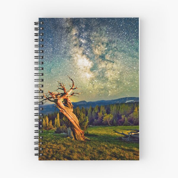 Item preview, A Bristlecone Tree Against a Starry Sky designed and sold by Rocky Mountain Artistry.