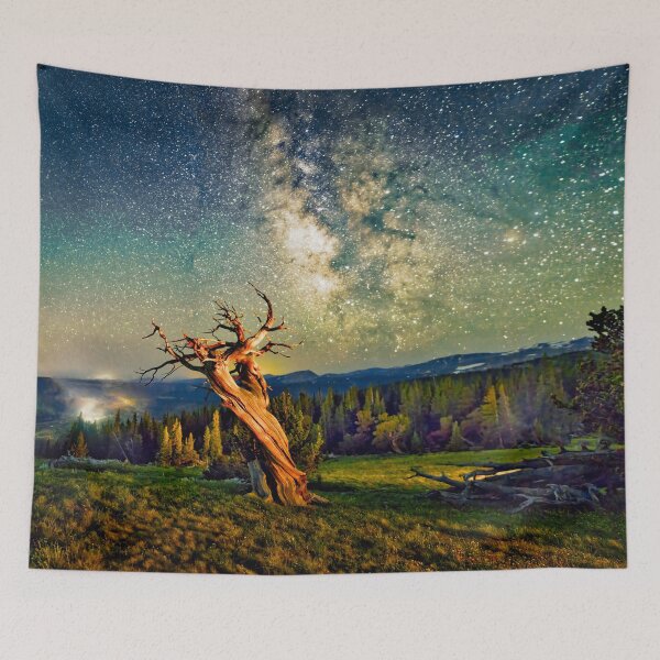 Item preview, A Bristlecone Tree Against a Starry Sky designed and sold by Rocky Mountain Artistry.