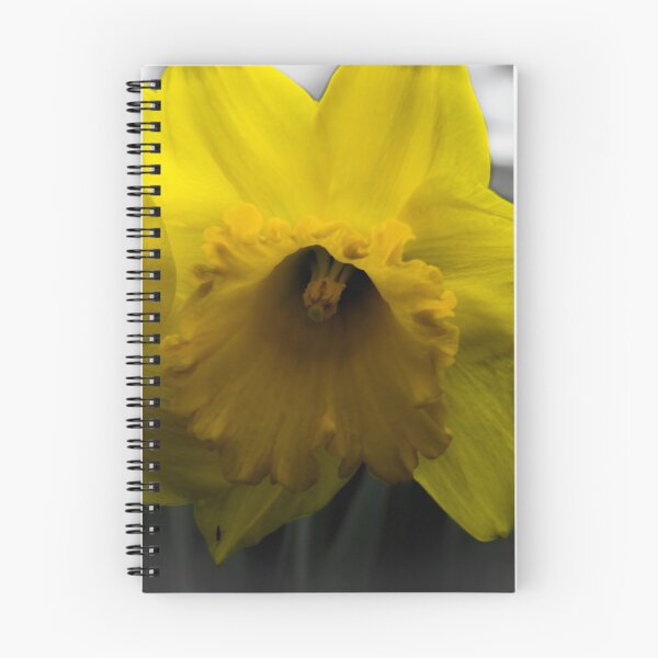 Item preview, The Yellow Flower designed and sold by ShotsByCrow.