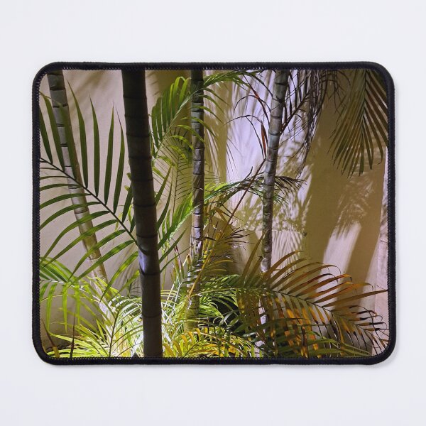 Item preview, The Eerie Yet Mesmerizing Beauty of Fern Leaves Lit in the Dark designed and sold by PhotografeeMrsB.
