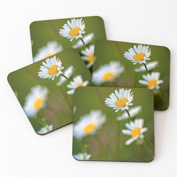 Item preview, Beautiful white daisy growing in a summer garden designed and sold by digoarpi.