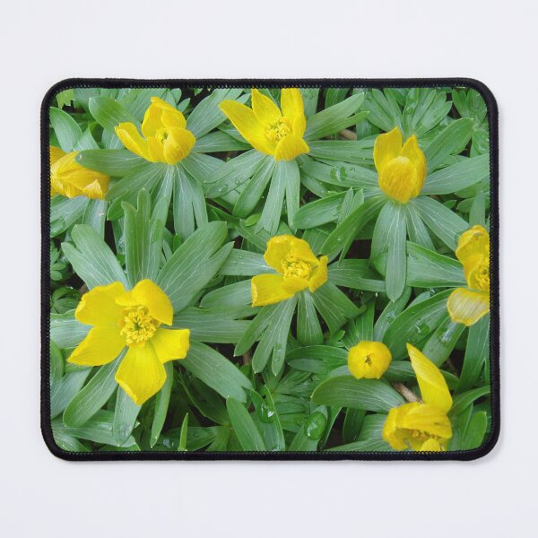 Item preview, Flowers in spring - yellow winterlings // designed and sold by Lillrose.