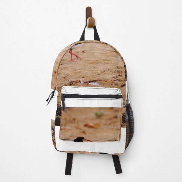 Item preview, Oyster Catcher on the Beach designed and sold by D-GaP.