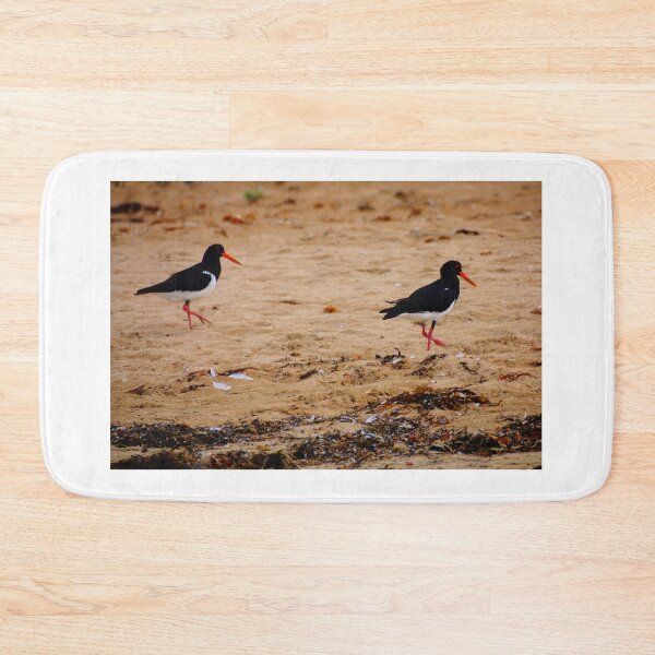 Item preview, Oyster Catcher on the Beach designed and sold by D-GaP.