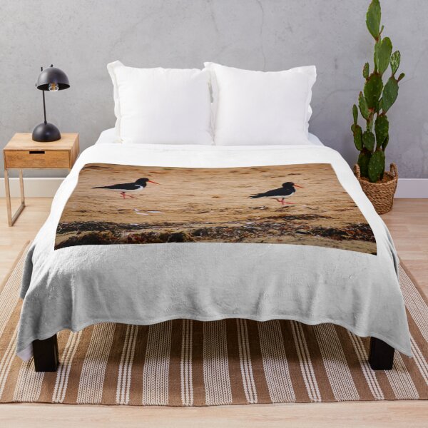 Item preview, Oyster Catcher on the Beach designed and sold by D-GaP.