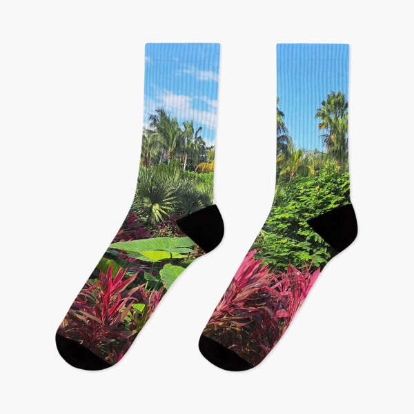 Item preview, Discover the Beauty of Mexico: Exploring a Colorful and Foliage-Filled Landscape designed and sold by PhotografeeMrsB.
