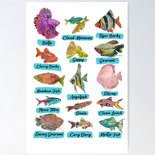 Save The Fish Posters for Sale