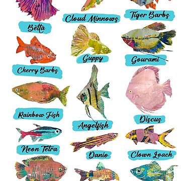 Fish Chart with Names Greeting Card for Sale by ginaisarty