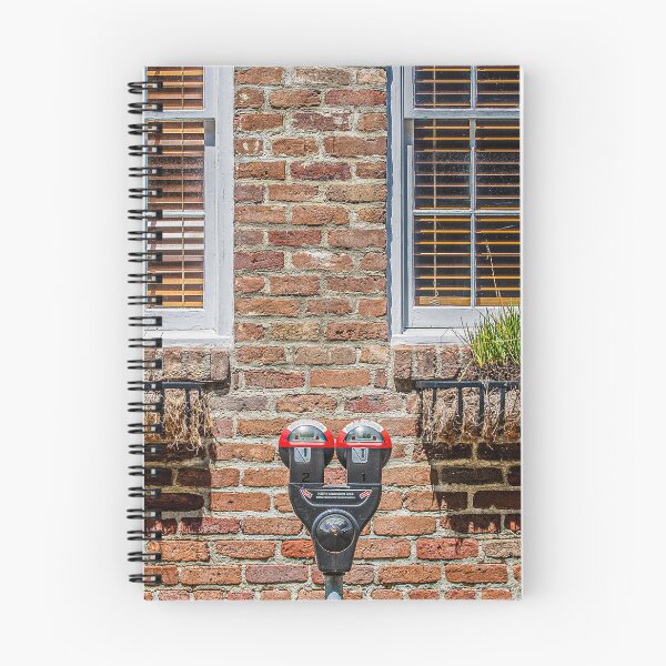 Item preview, Parking Meter Between Windows designed and sold by dbvirago.
