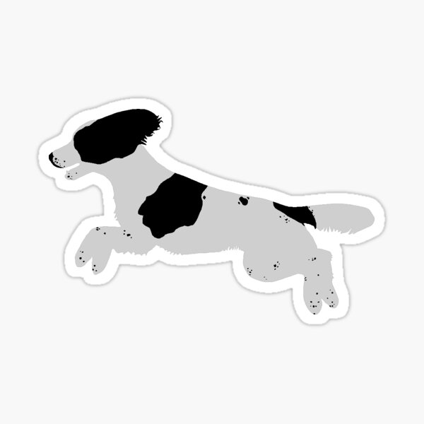 English Springer Spaniel (Working Type - Black) Jumping Sticker