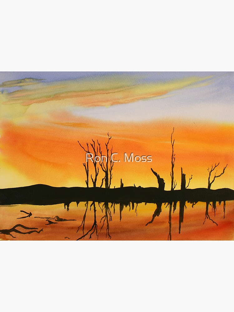 Flooded Lake by ronmoss