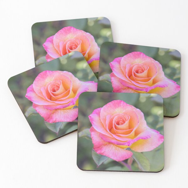 Item preview, 'Mardi Gras' Pink Blend Floribunda Rose in Bloom designed and sold by yhelfman.