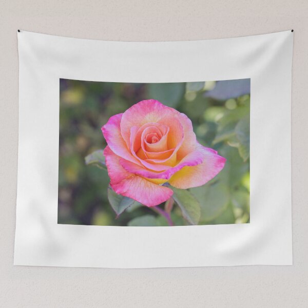 Item preview, 'Mardi Gras' Pink Blend Floribunda Rose in Bloom designed and sold by yhelfman.
