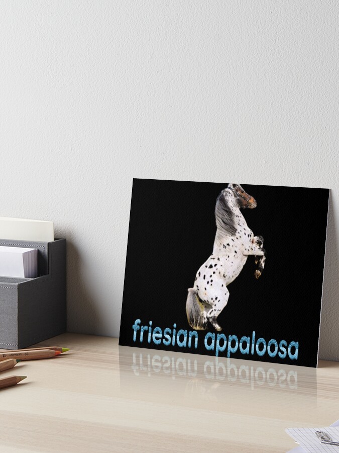 Appaloosa Friesian Horse - Beautiful Appaloosa Horse" Art Board Print for  Sale by sagestar | Redbubble