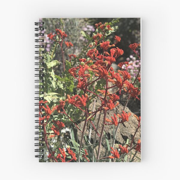 Item preview, Kangaroo Paw (Anigozanthos) designed and sold by NimbleFish.