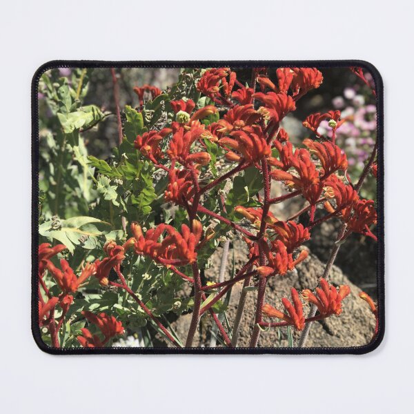 Item preview, Kangaroo Paw (Anigozanthos) designed and sold by NimbleFish.