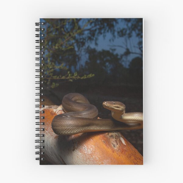 Item preview, Olive Python sets up for the evening hunt designed and sold by CNZdenek.