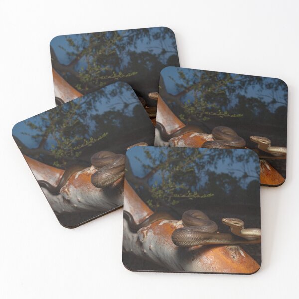 Item preview, Olive Python sets up for the evening hunt designed and sold by CNZdenek.