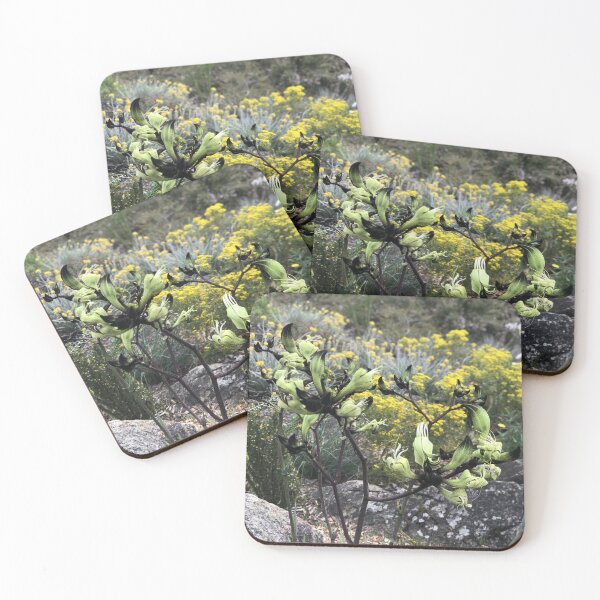 Item preview, Kangaroo Paw (Anigozanthos) designed and sold by NimbleFish.