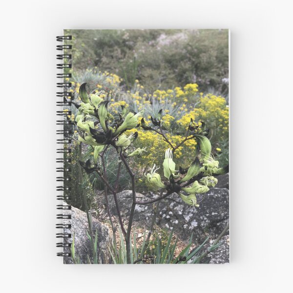 Item preview, Kangaroo Paw (Anigozanthos) designed and sold by NimbleFish.