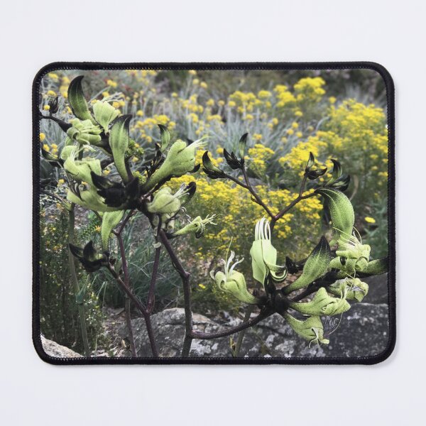 Item preview, Kangaroo Paw (Anigozanthos) designed and sold by NimbleFish.