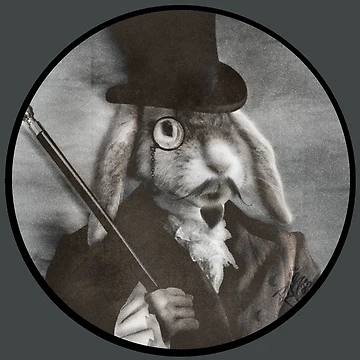 Artwork thumbnail, Mr Rabbit by MoonRoe