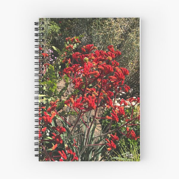 Item preview, Kangaroo Paw (Anigozanthos) designed and sold by NimbleFish.