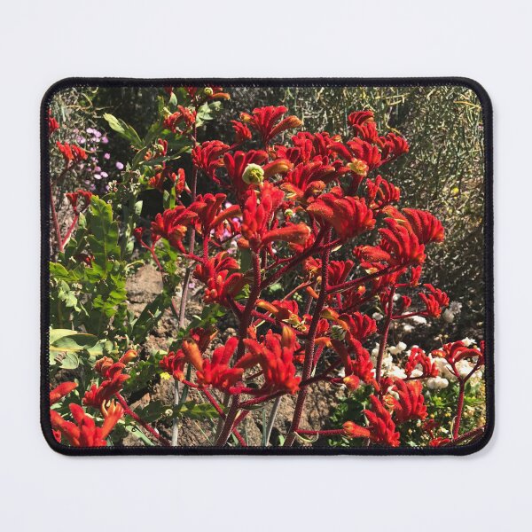 Item preview, Kangaroo Paw (Anigozanthos) designed and sold by NimbleFish.